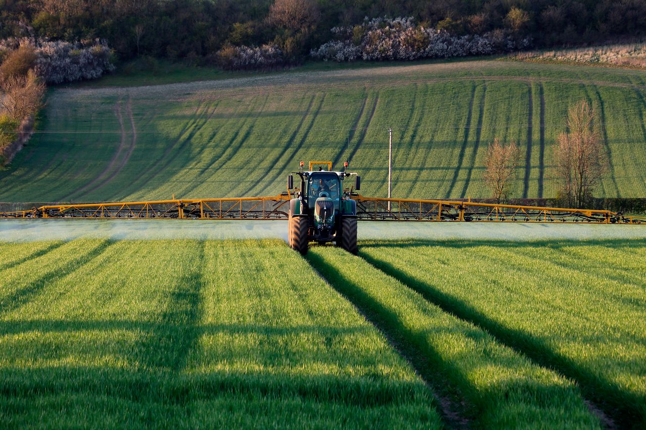Bord Bia seeks auditors for pilot crop assurance scheme