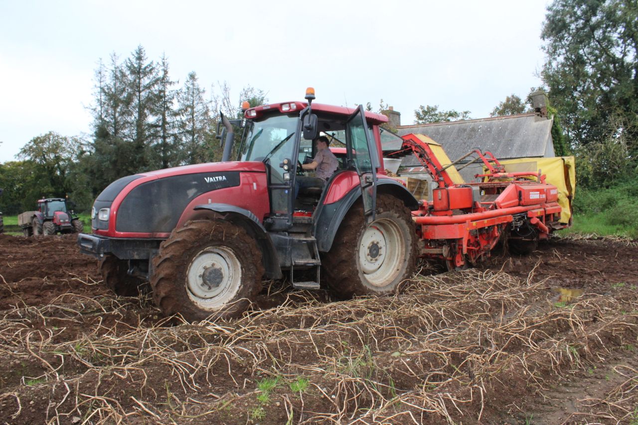 Two-thirds of potato crop yet to be harvested