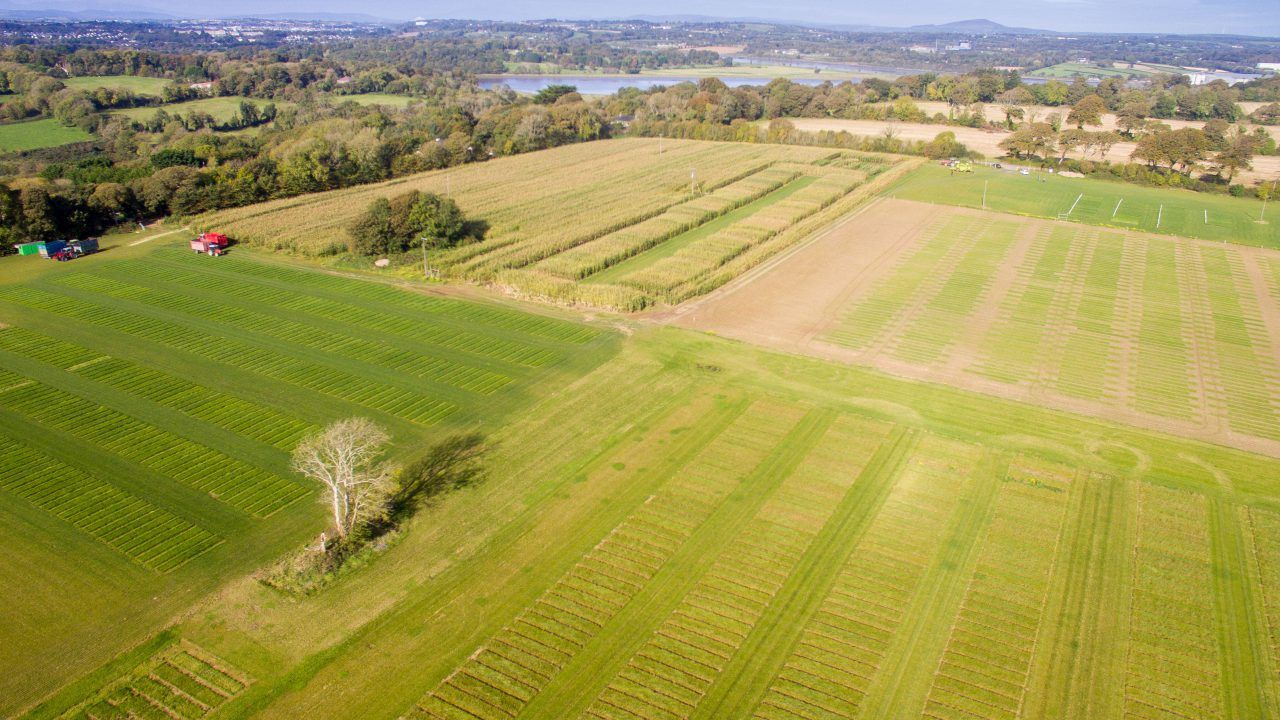 Explainer: How does soil carbon sequestration work?