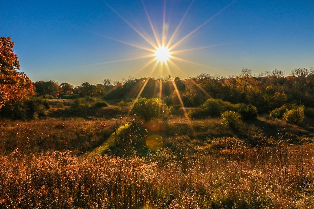 Record-breaking global temperatures for 13 consecutive months