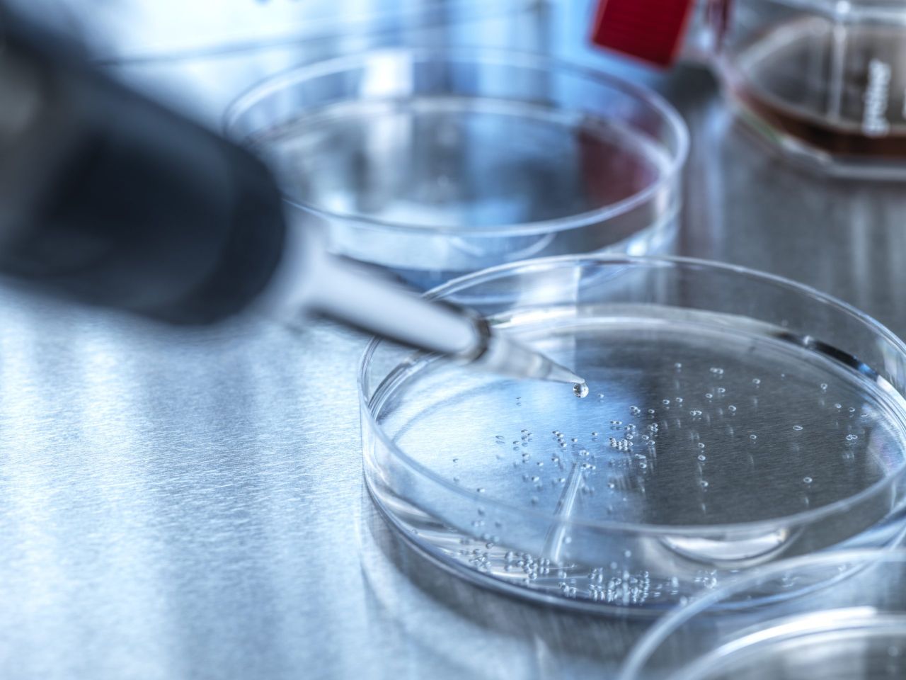 First severe human case of H5N1 bird flu in US confirmed