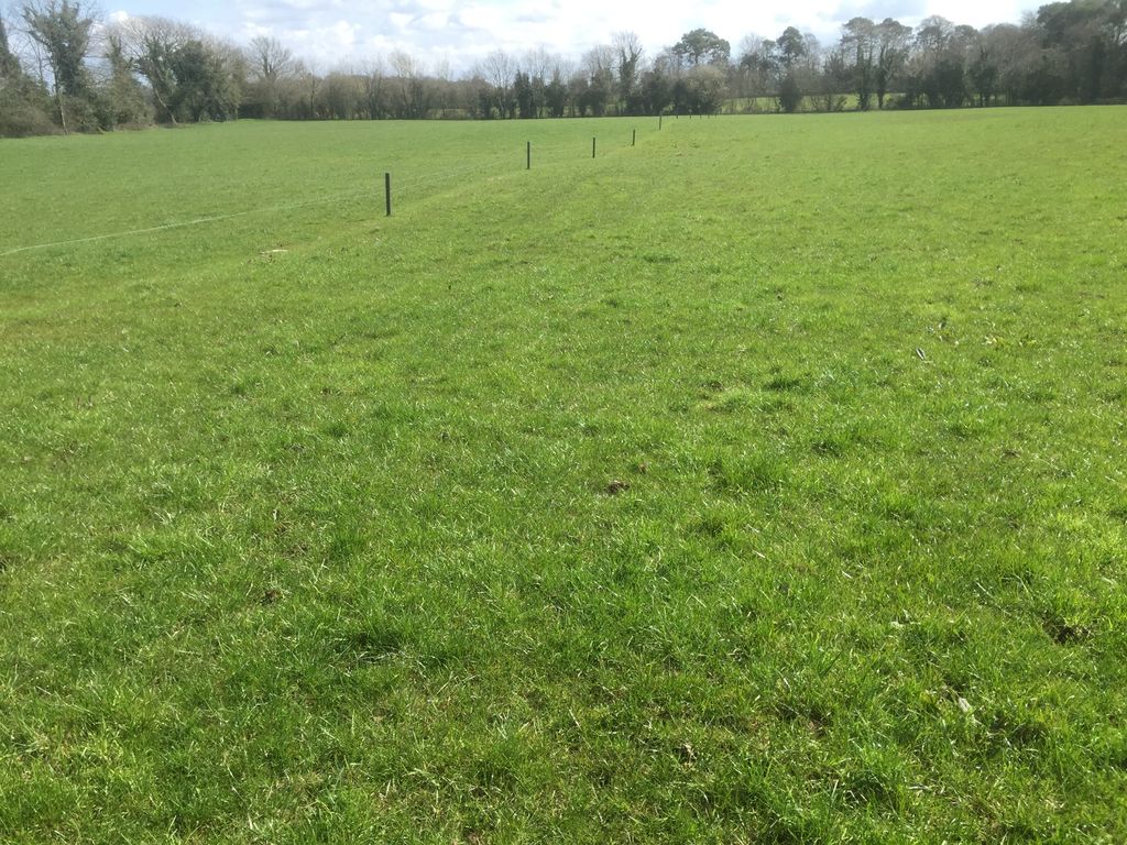 Adjusting your paddock sizes can lead to improved milk production and less stress on younger cows in the herd