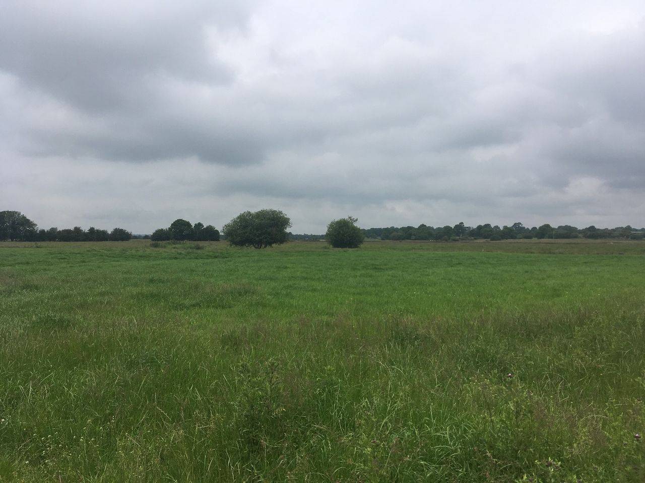 EU Nature Restoration Law 'not achievable' if funded by CAP