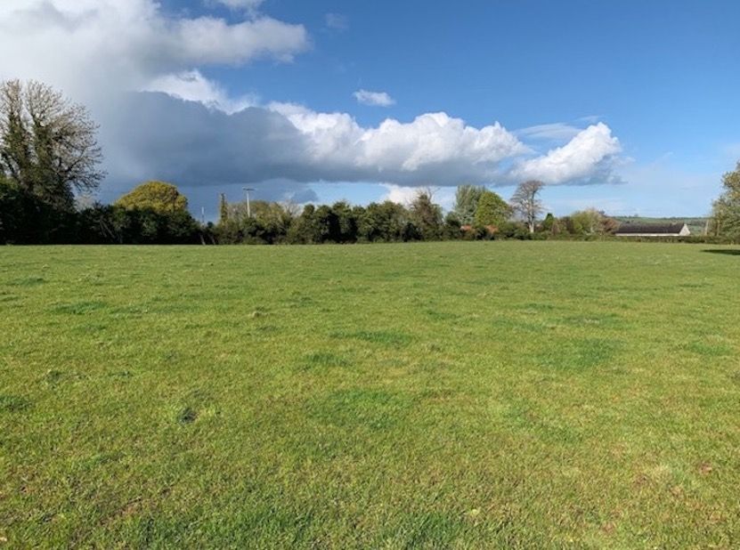 Pics: 61.5ac of land for sale in Drombane, Co. Tipperary