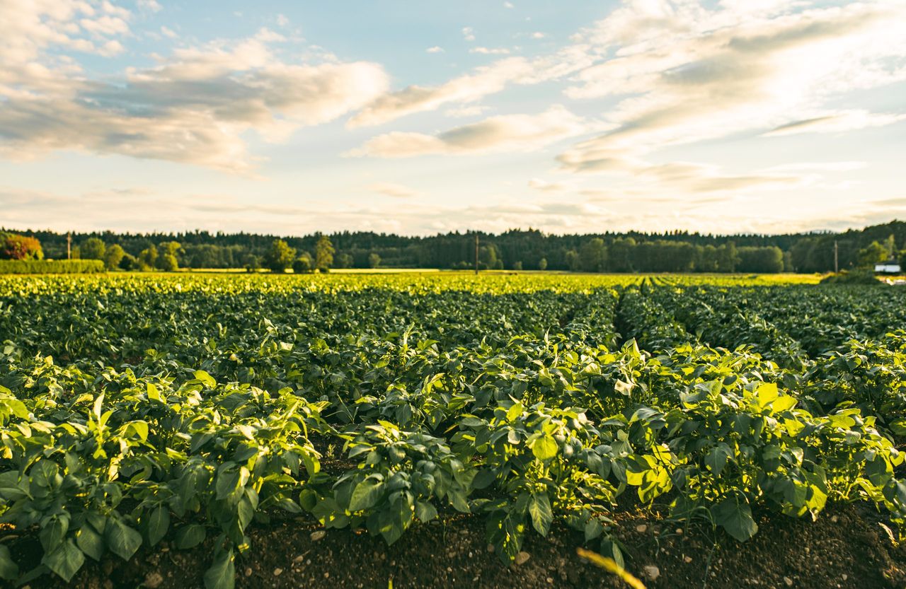 Latest Food Vision 2030 dashboard has focus on 'sustainability' indicators