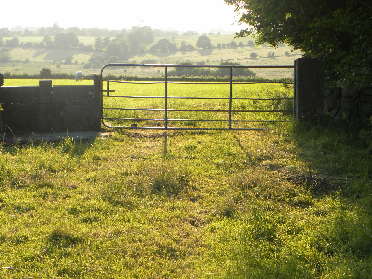 Cork farmers legal fund up to €50,000 - more needed says Fitzmaurice