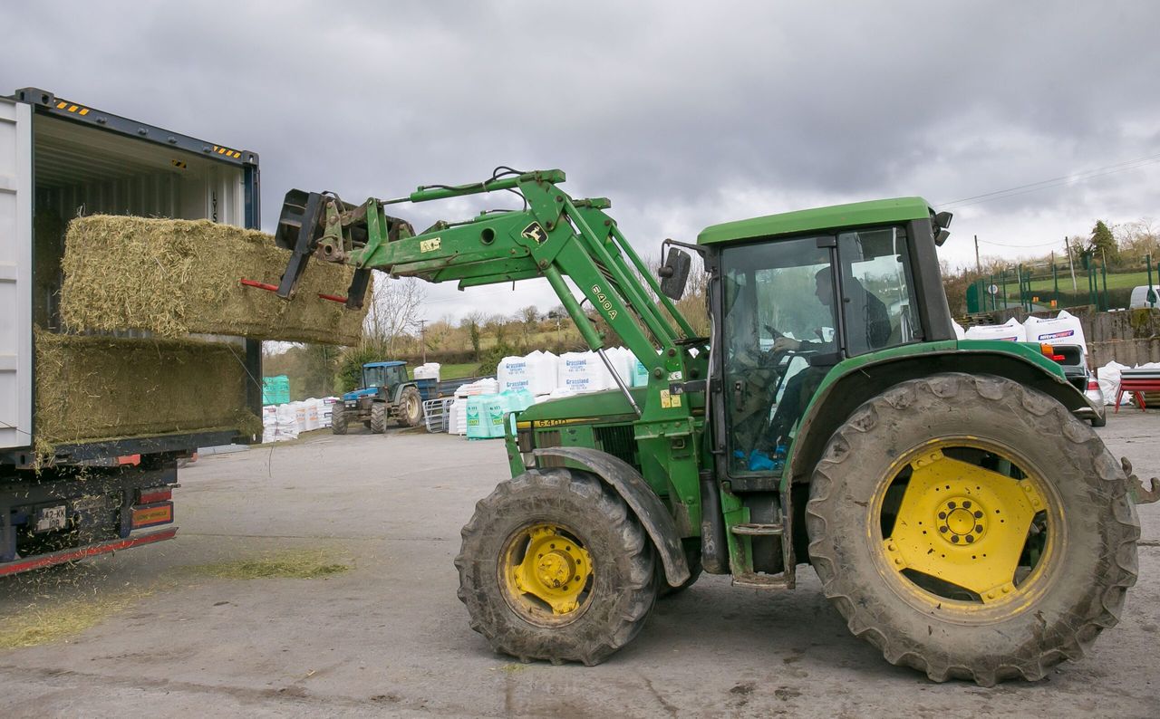 Video: First loads of 'high-quality' alfalfa imported by Glanbia