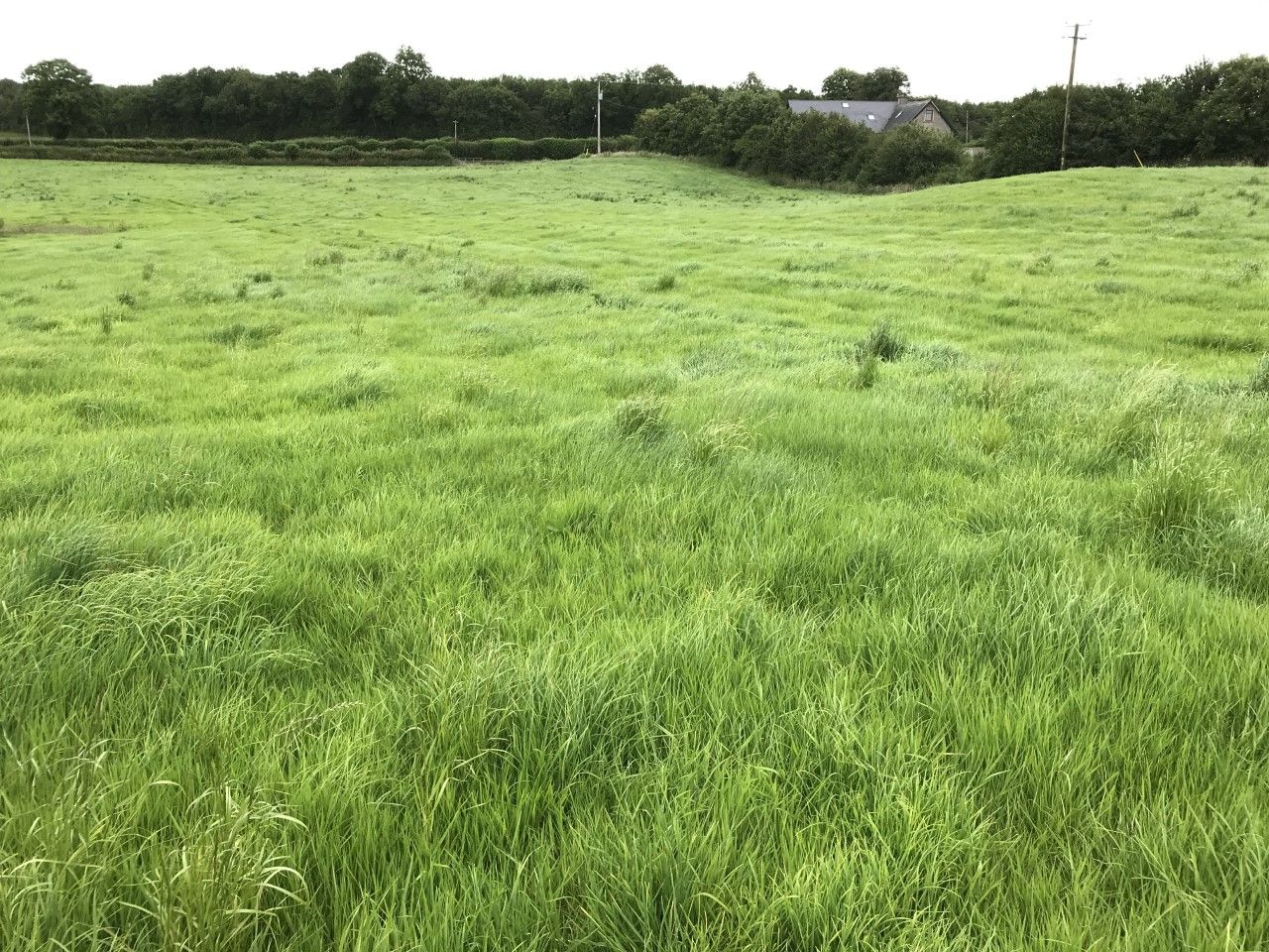 'Real gems': Choose your pick on 2 farms...in Westmeath or Cavan
