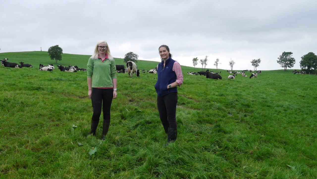 Increase in eligibility age for TAMS welcomed by women in agriculture