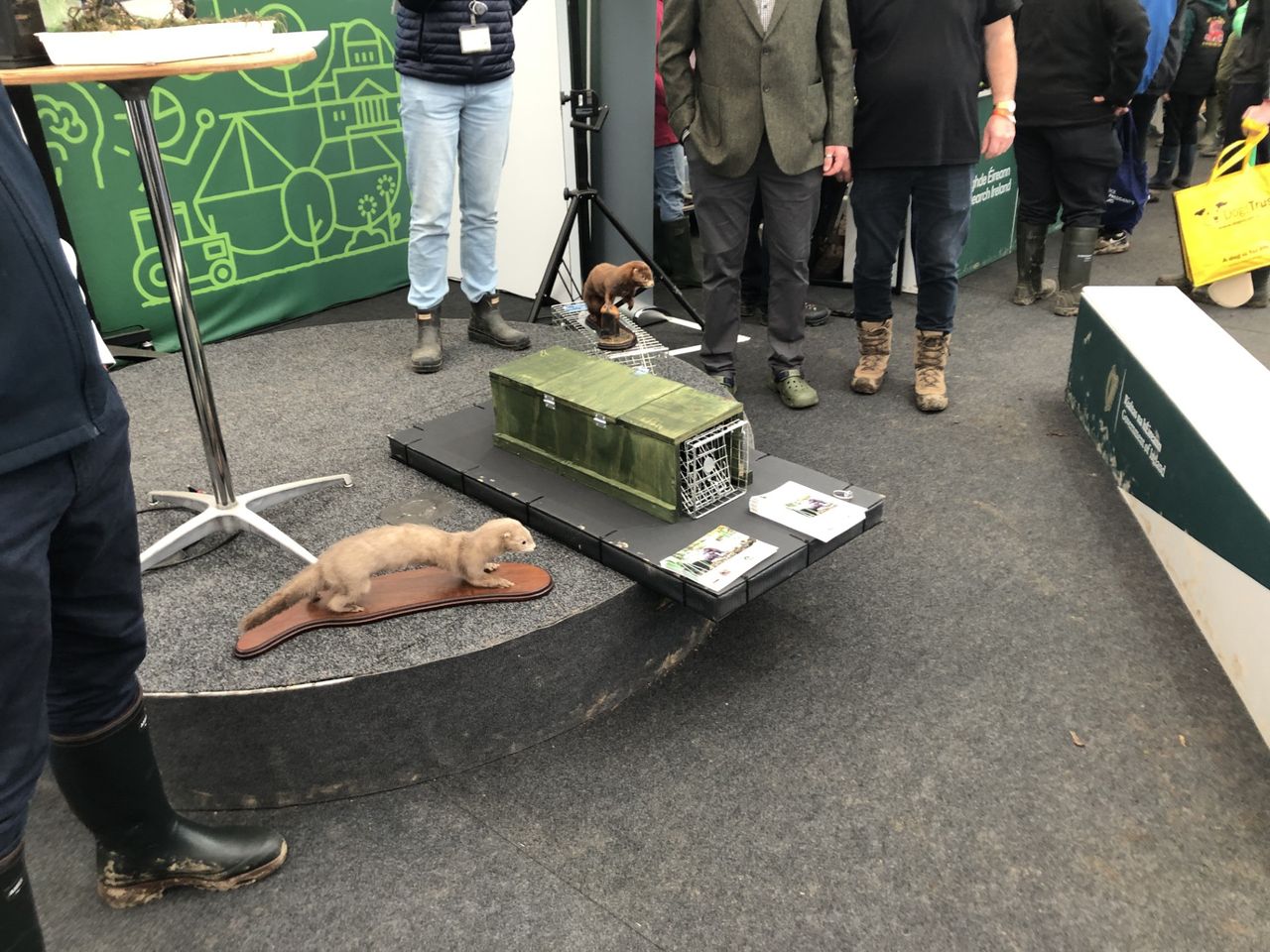 Gun clubs to be 'feet on ground' in new mink eradication pilot