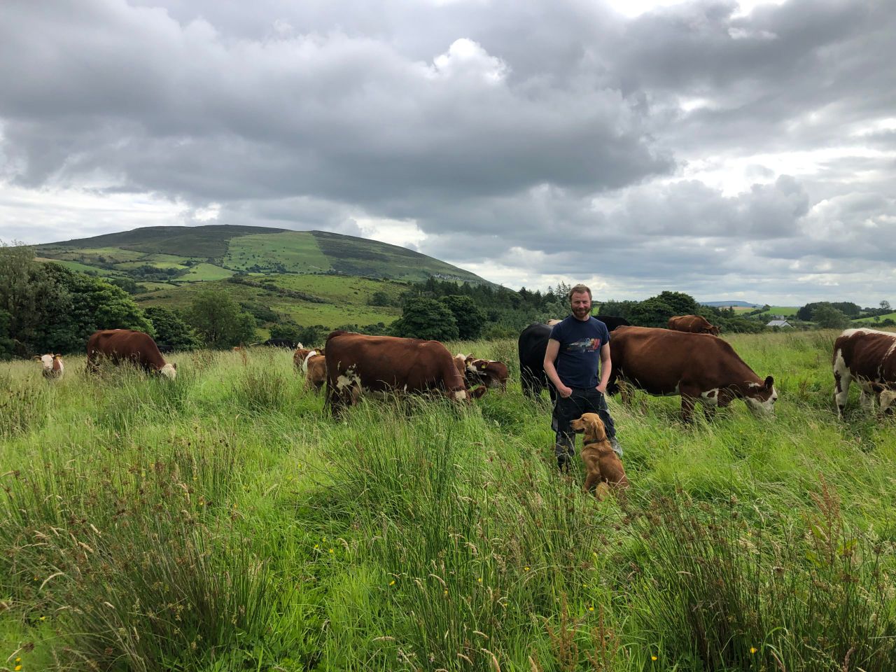 Beef focus: Making a hefty profit on 15-cow Sligo suckler farm