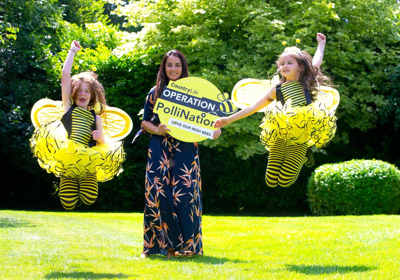 'Operation PolliNation' creates a real buzz