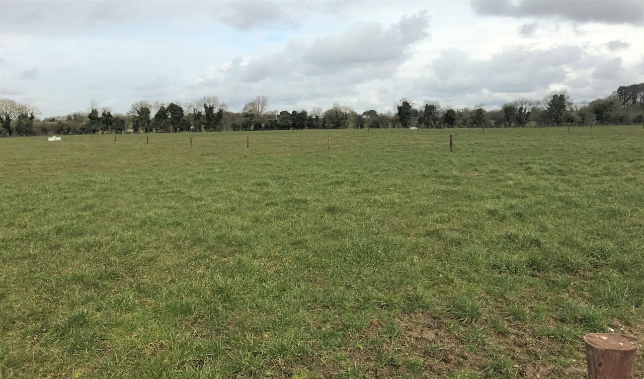 '20% more grass can be produced by correct management'