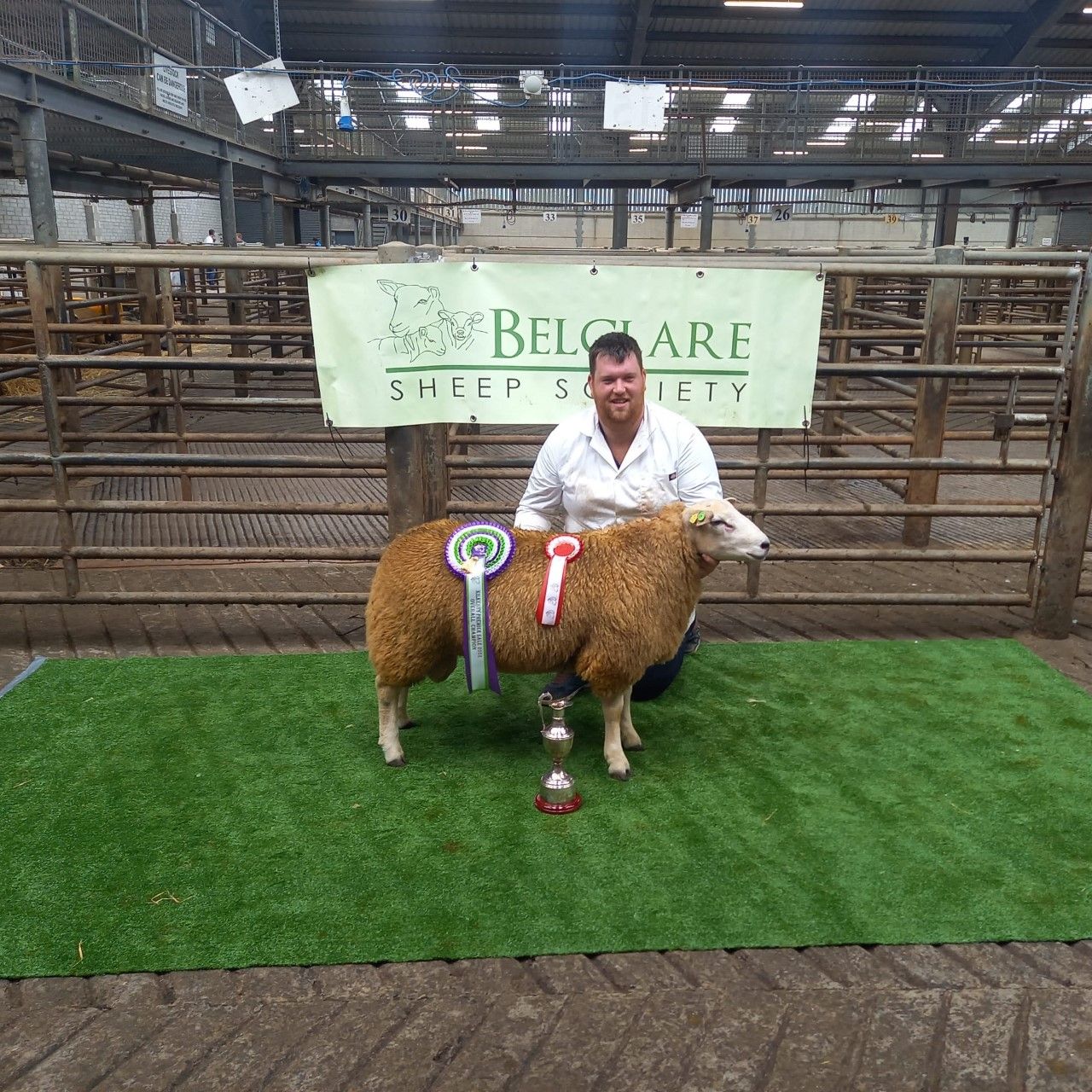 Prices peak at €2,350 at Belclare premier sale