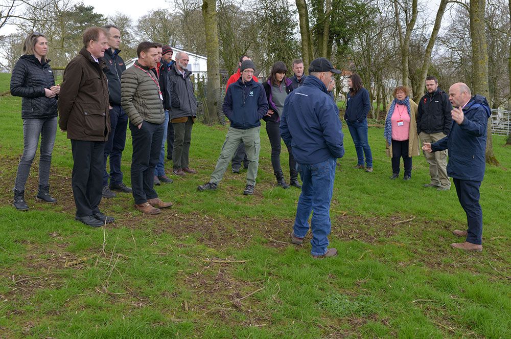 Grass breeding and short-rotation willow top the bill at AFBI forum