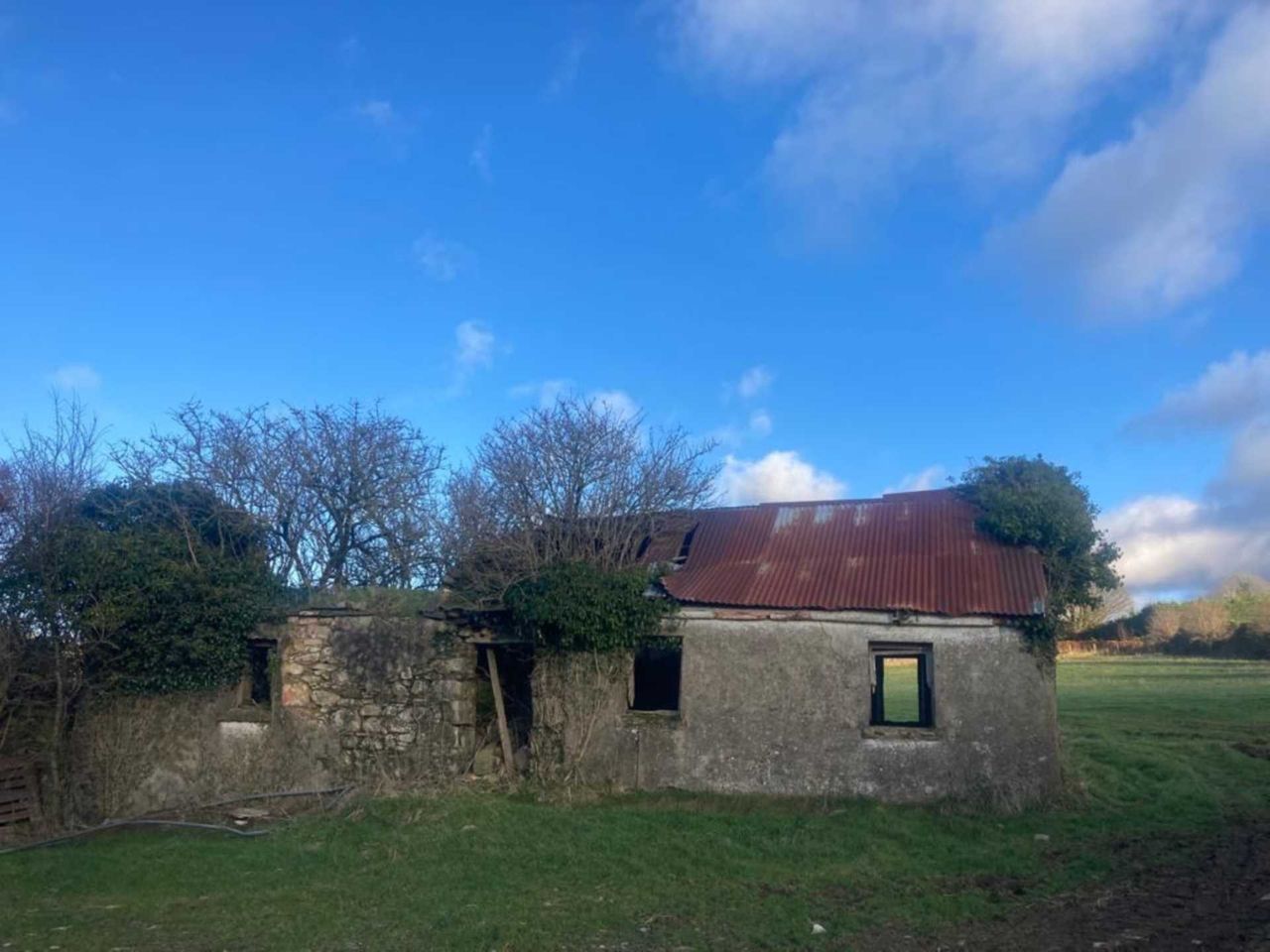 37ac roadside holding in Wicklow up for auction