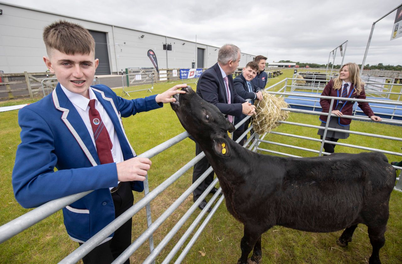 13 teenagers take calves home to rear in ABP’s agri-skills contest