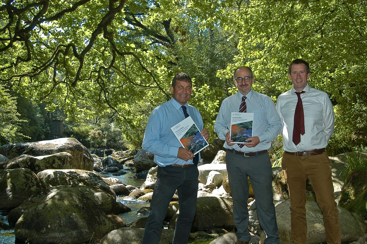 Well-designed woodlands are 'vital' to protecting streams and lakes