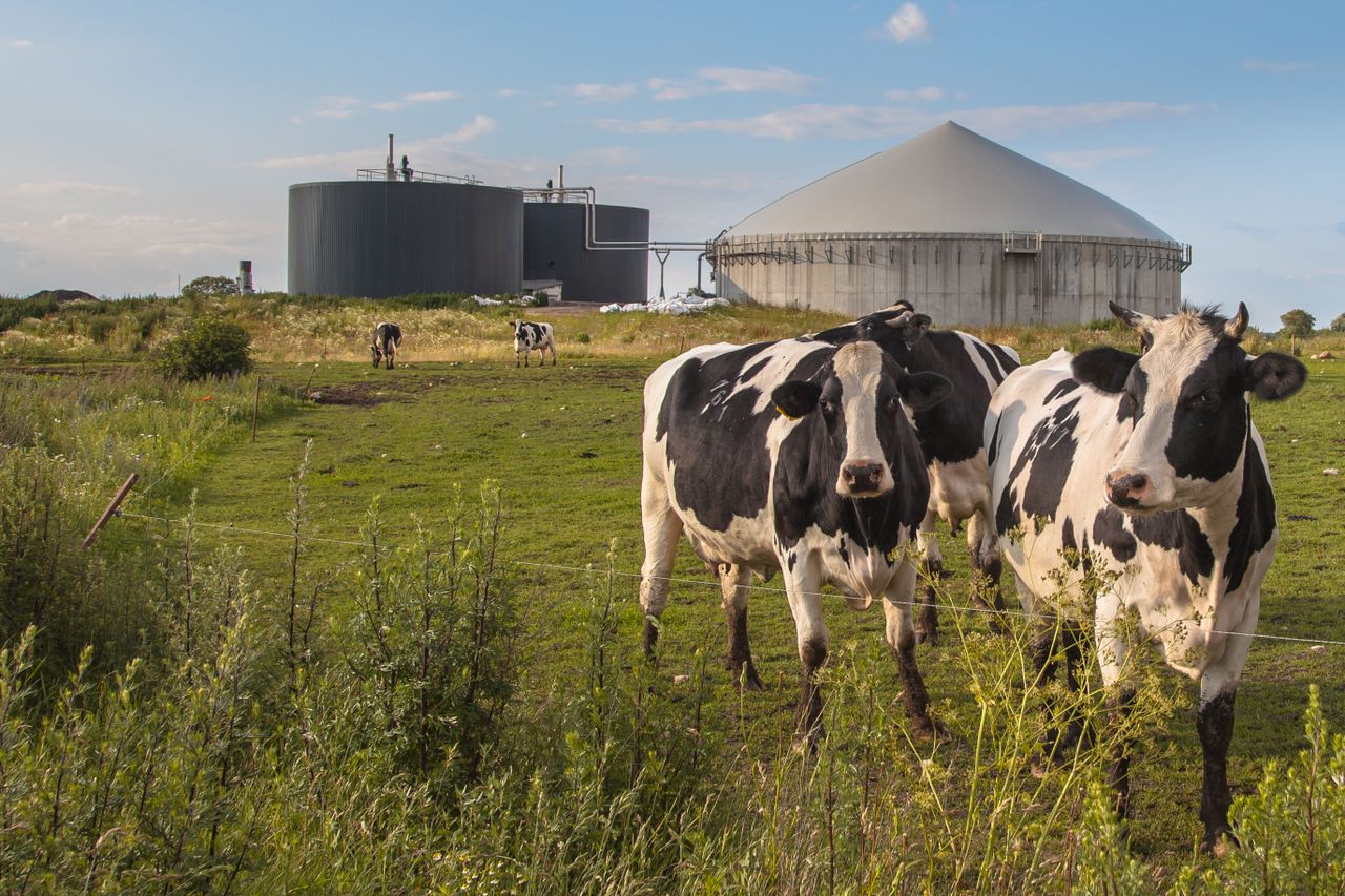 Biomethane supplier opens Tipperary facility