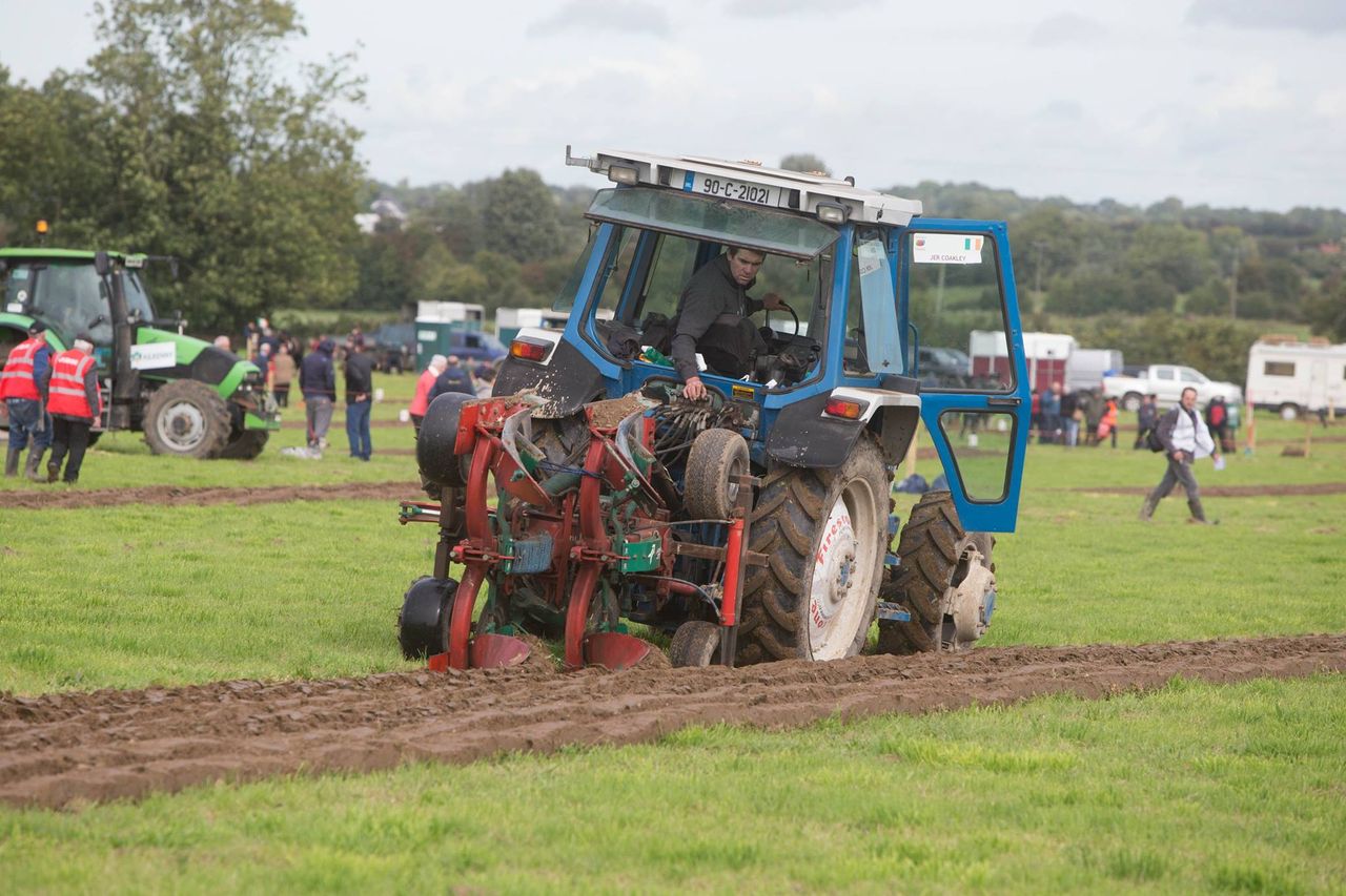 Irish ploughmen come out on top at European Ploughing Championships