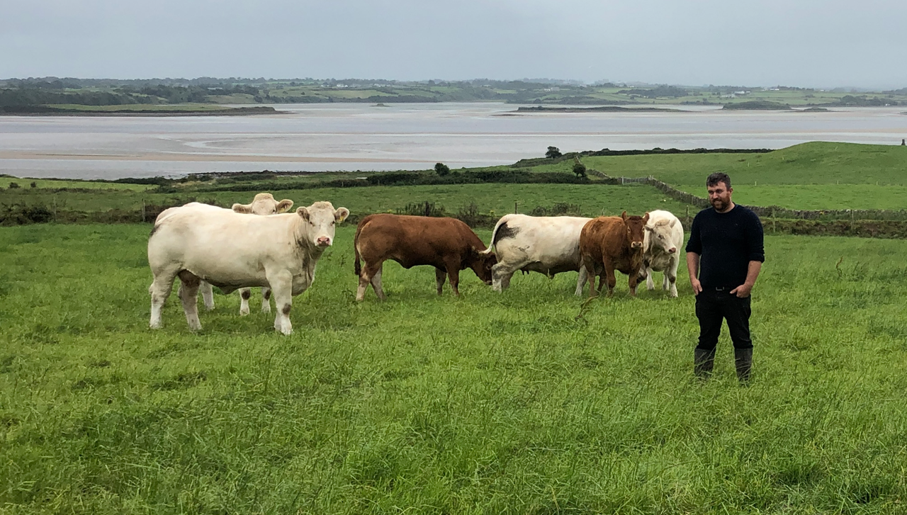 Beef Focus: 135-cow pedigree and commercial Sligo suckler farm