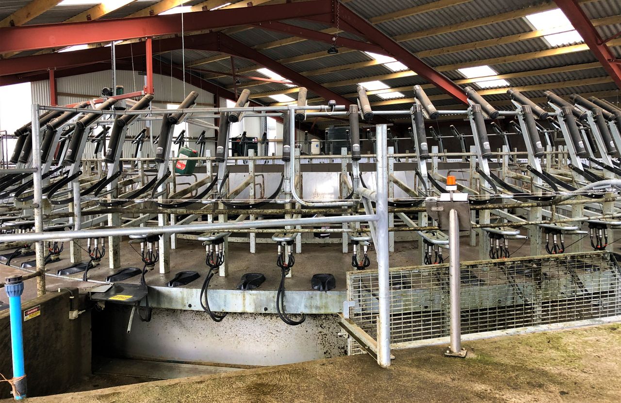 Milk Price Tracker: Which co-ops top the league?