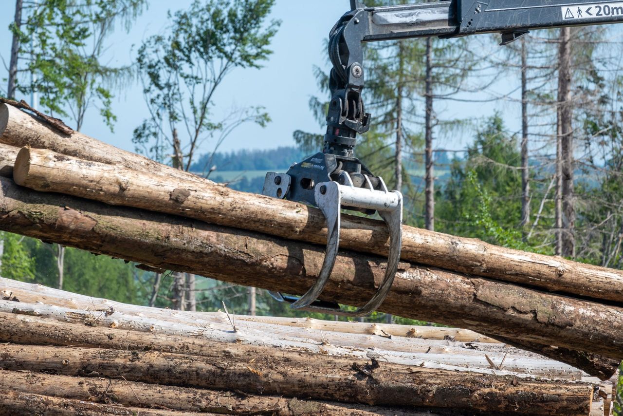Forestry contractors call for 'fair and transparent' payment system