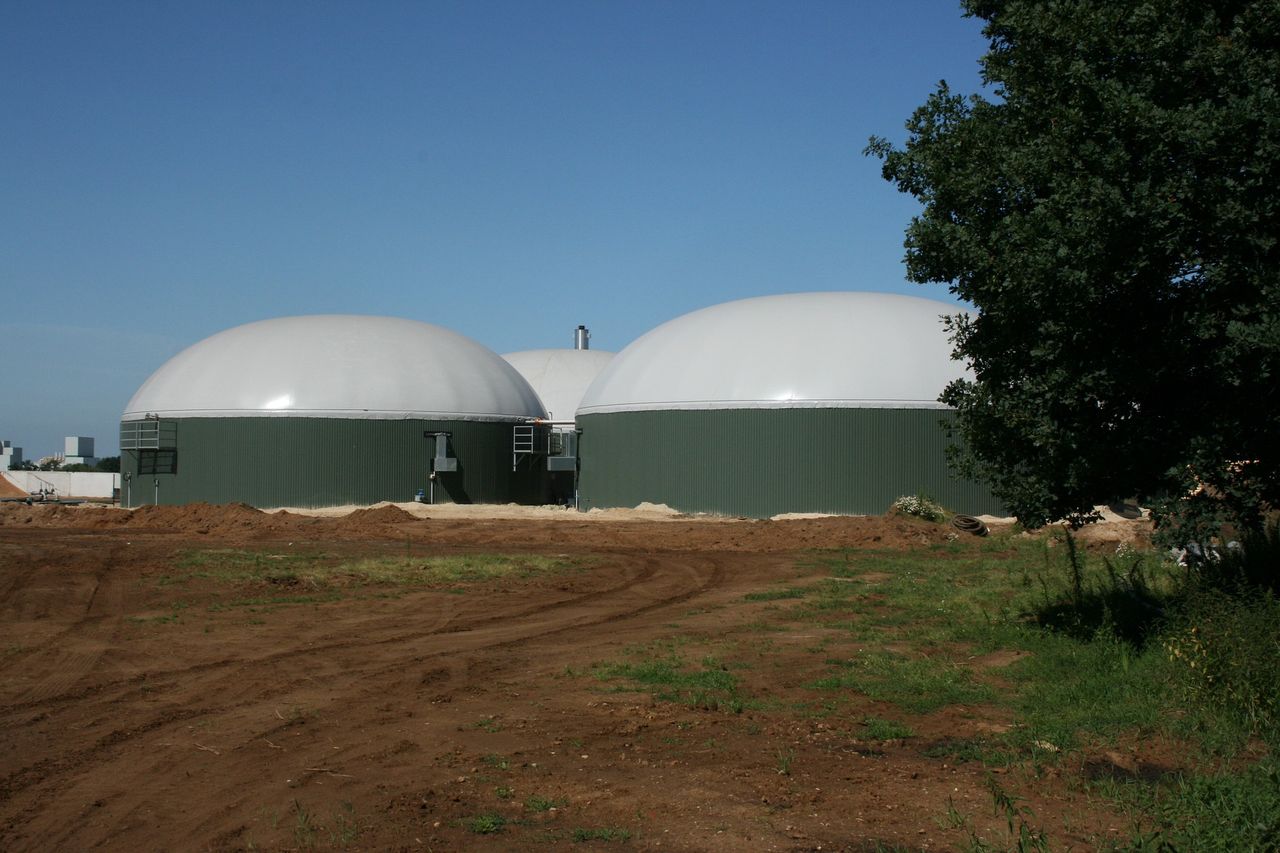 Climate Action Plan 'lacks recognition' for bioenergy
