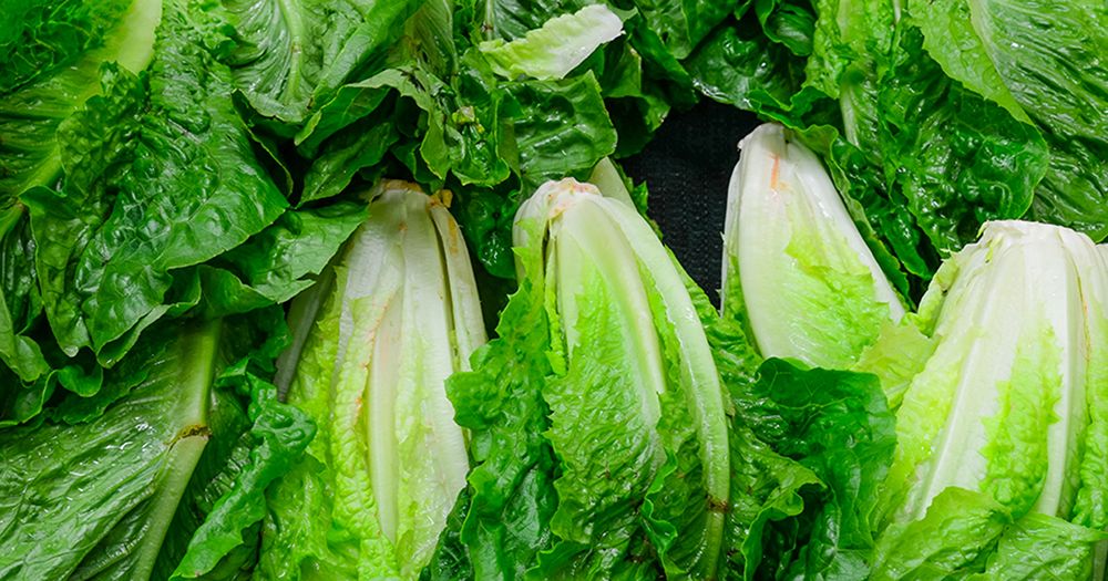 Millions of dollars' worth of crops being destroyed in California