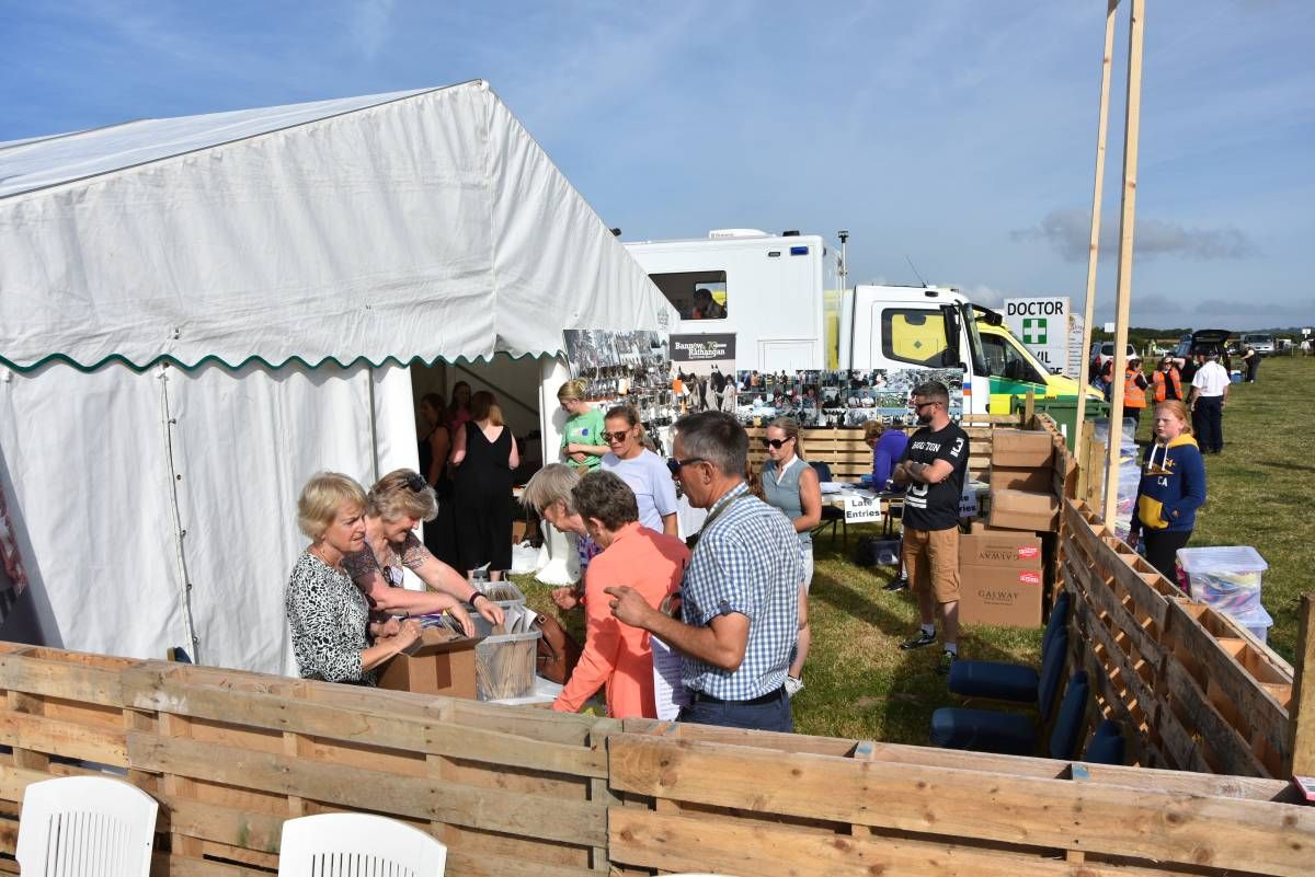 Brand-new events on offer at Bannow and Rathangan show
