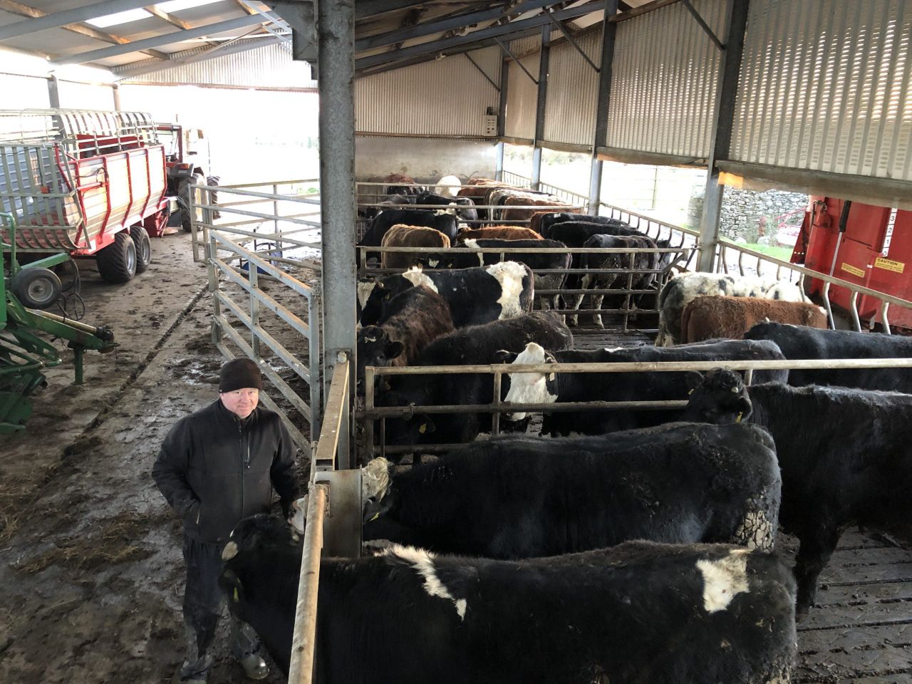 Beef Focus: Shed finishing on 'grass and grain' in Carnaross