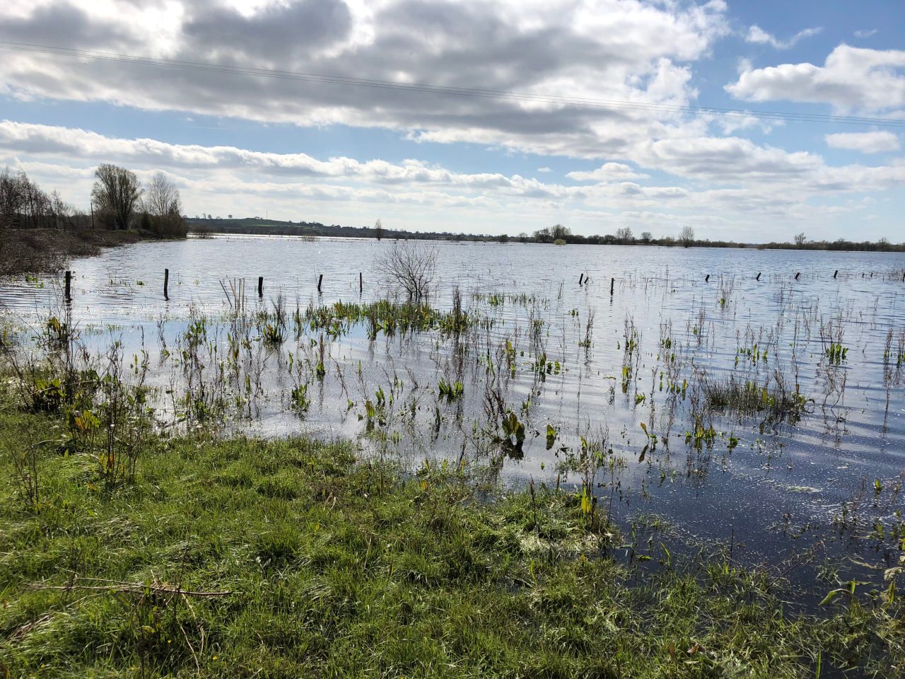'Minister must provide definite start date for River Shannon pinch points'
