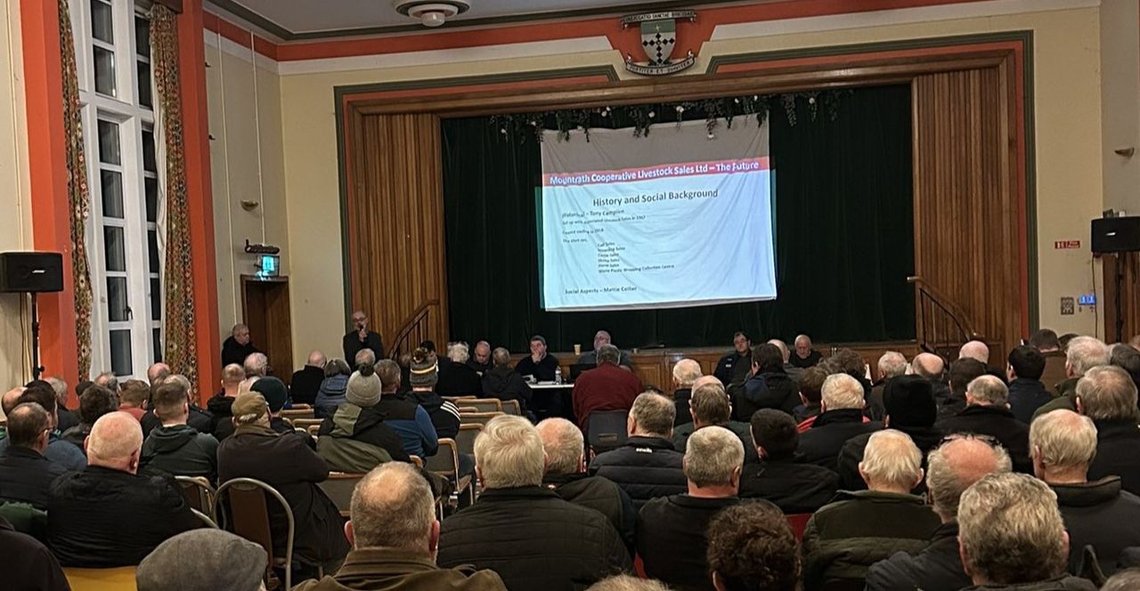 'Successful outlook' for reopening of Mountrath Mart