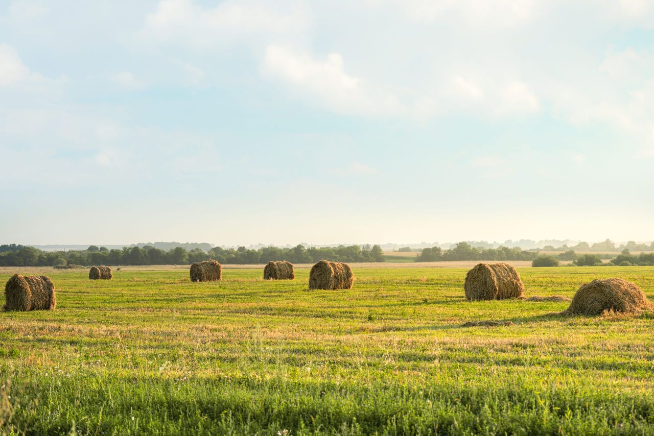 What are the proposed new rural planning permission exemptions?