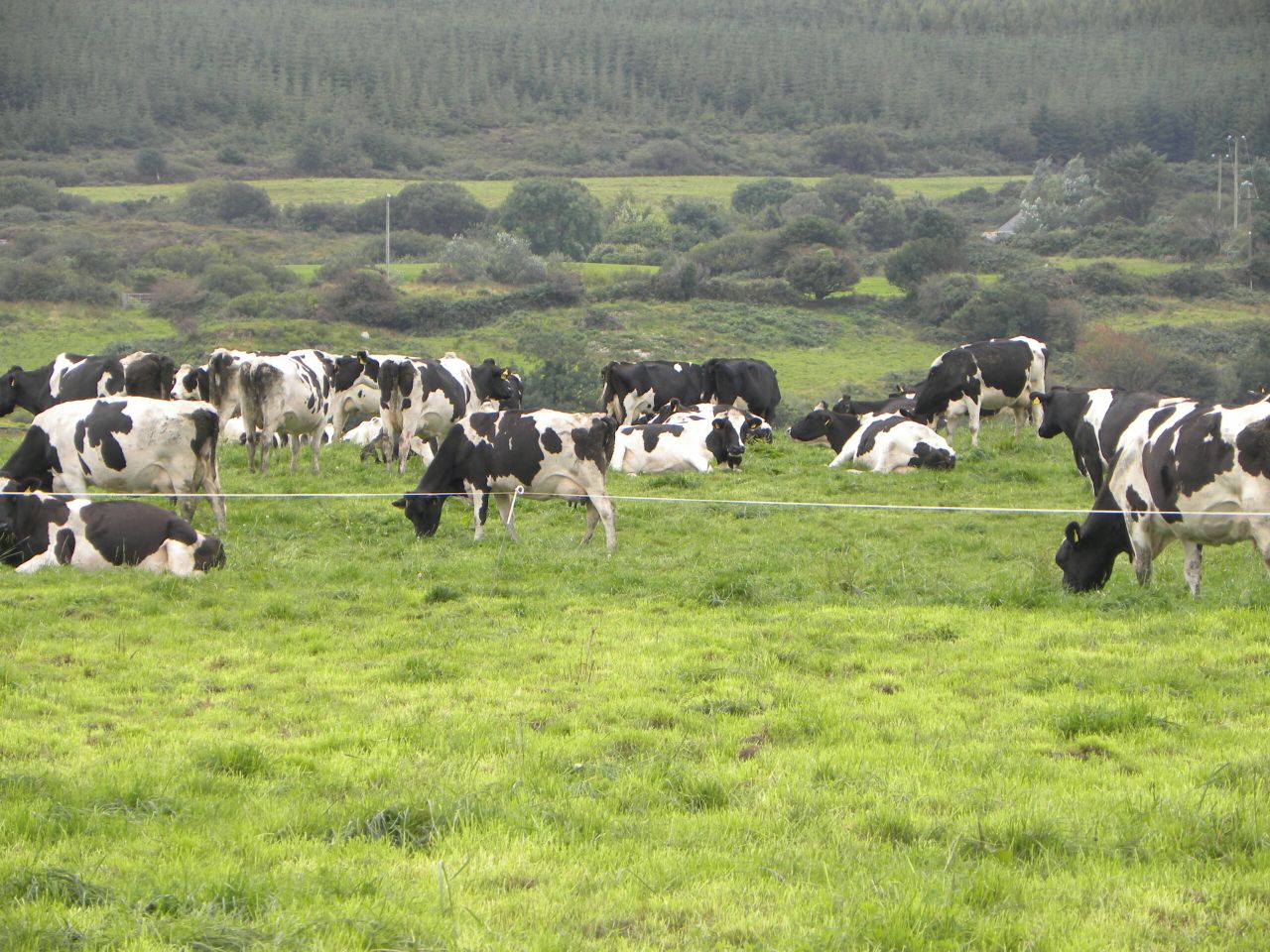 Milk output increase of 60% projected for east Cork, Waterford and Kilkenny dairy farms