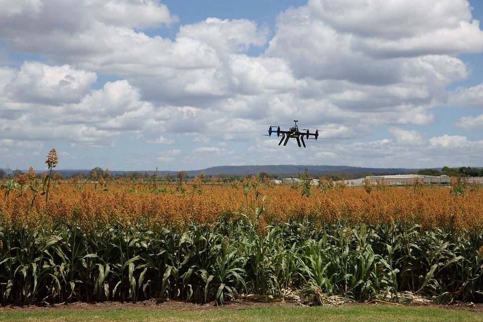 Ambition to double Irish AgTech sector over next decade