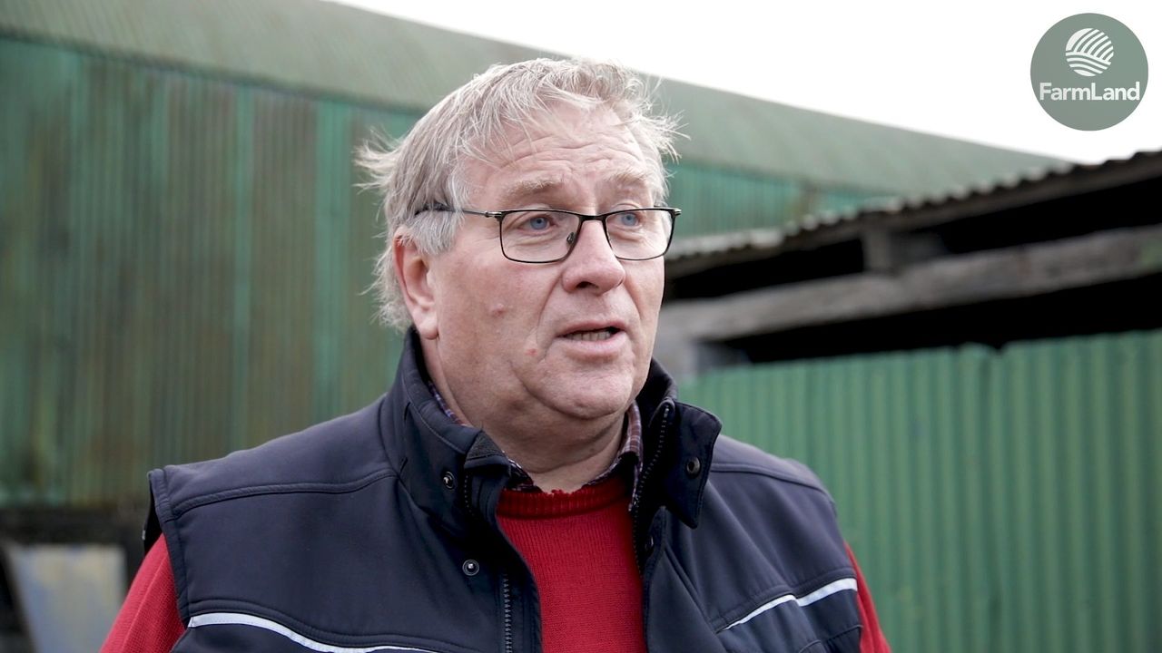 'Criminals have all the rights and the victims have none'