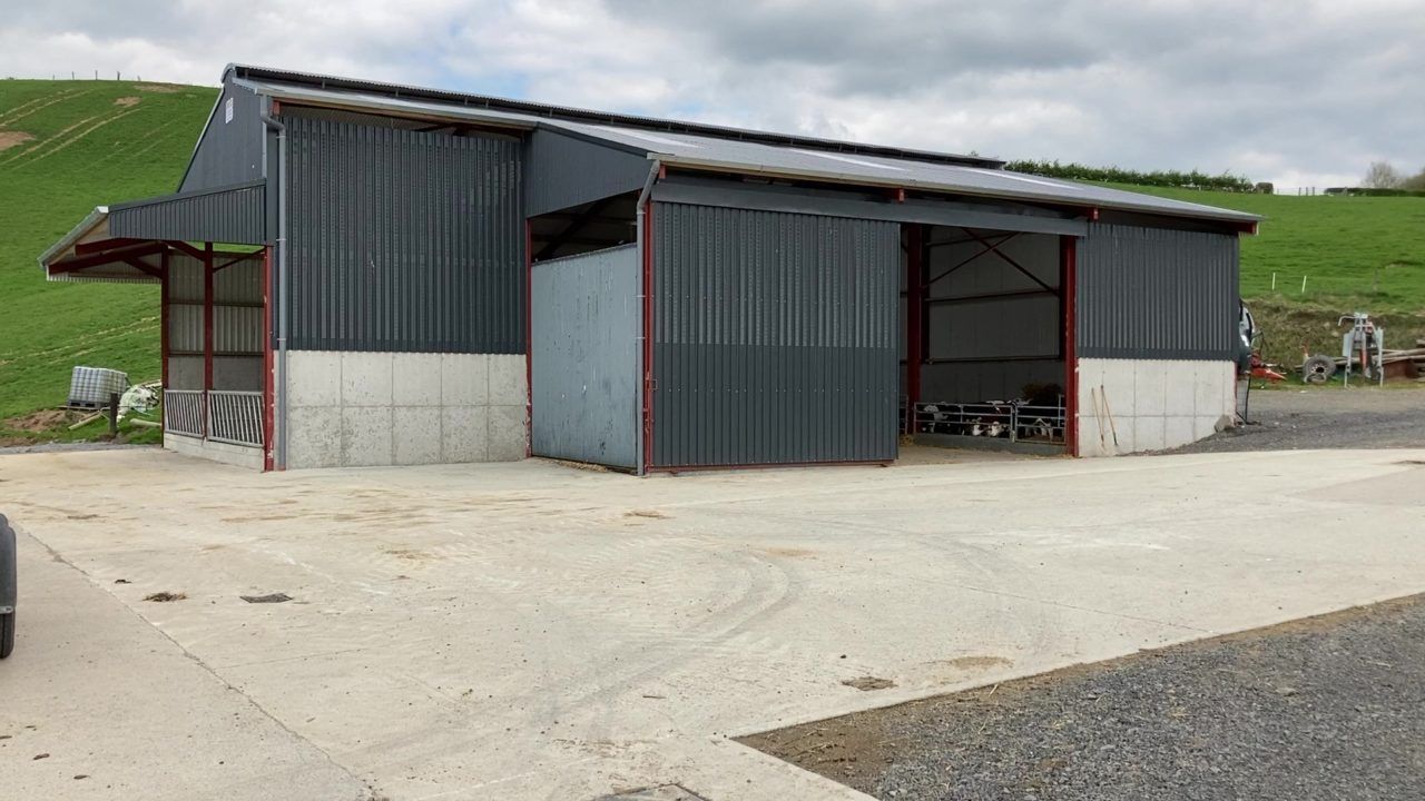 Back In Focus: A sheep, calf and finishing unit all under one roof in Tipperary