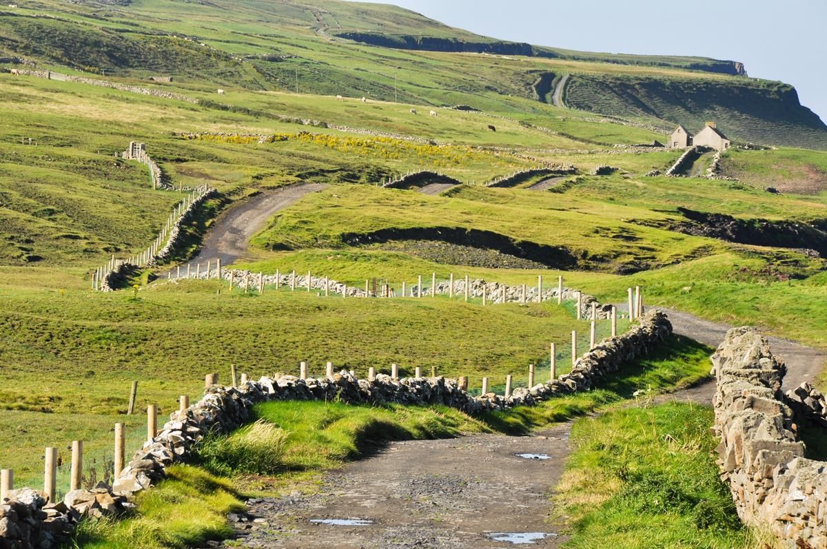 Corncrake may become no more than a memory if habitat degradation continues