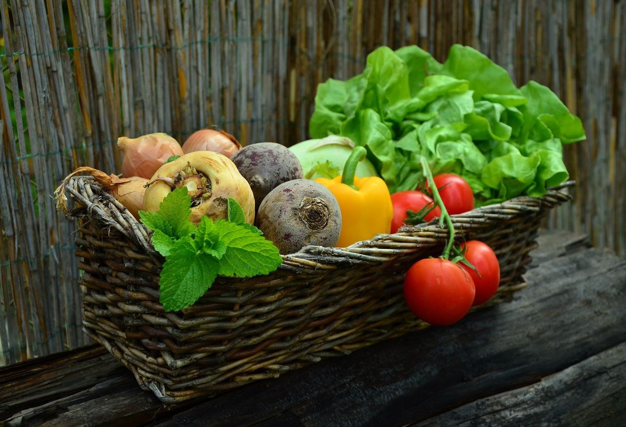 FAO: Global food prices increase for first time in a year