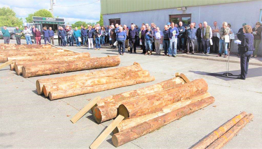 Log and timber quality: The focus at Talking Timber 2018