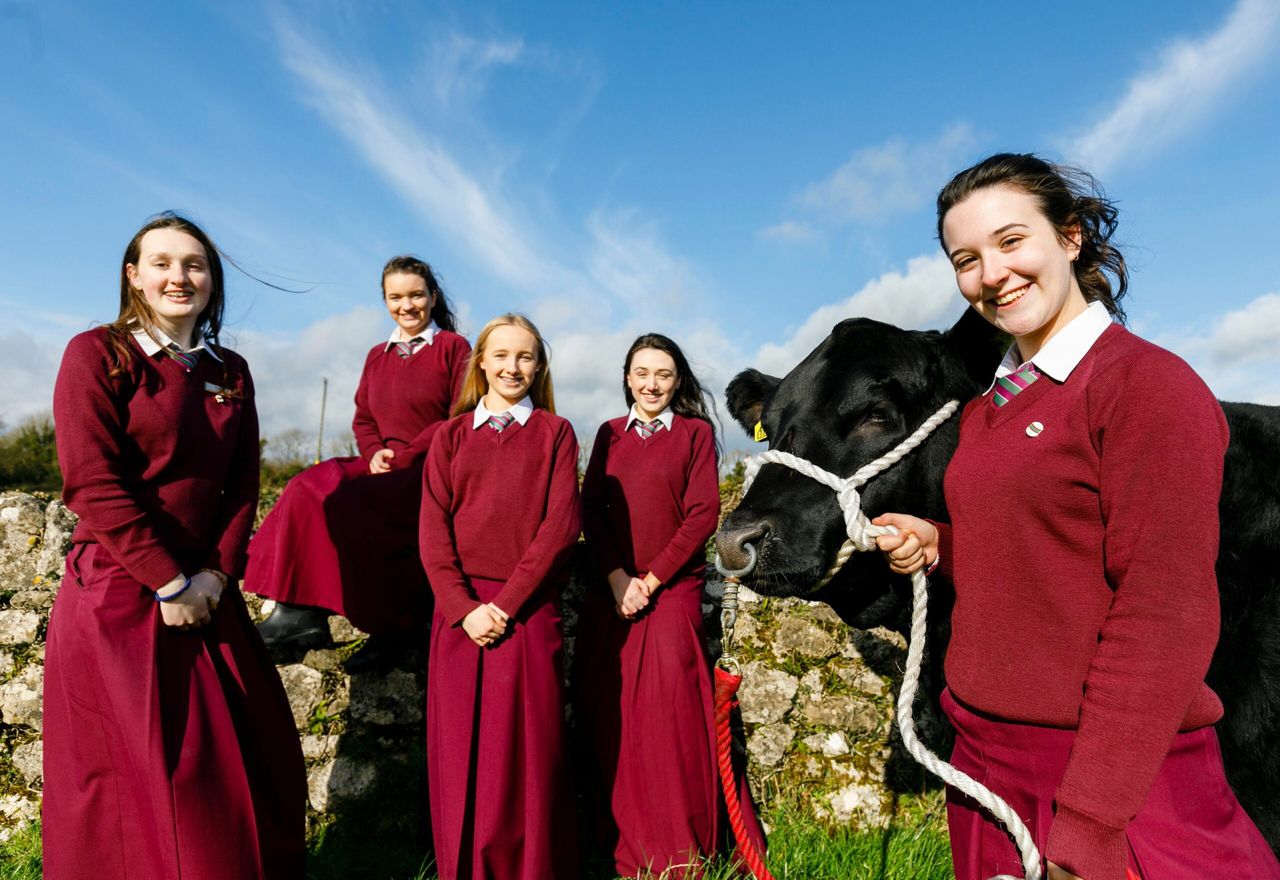 Winners of the 2019 Angus Beef Schools' Competition announced