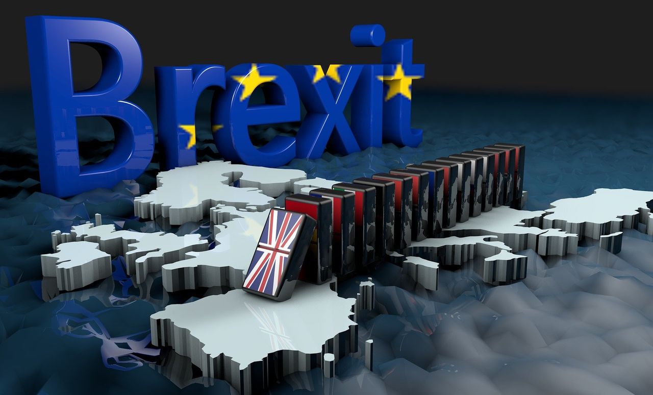 BVA sets out vision for post-Brexit trade with the EU