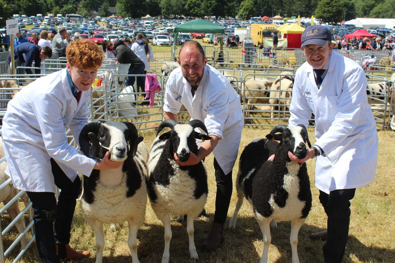 Armagh Show recorded largest visitor number ever last year