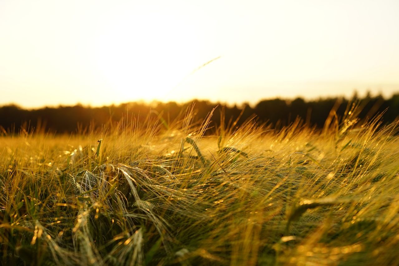 Farming for Nature: Ambassador nominations now open