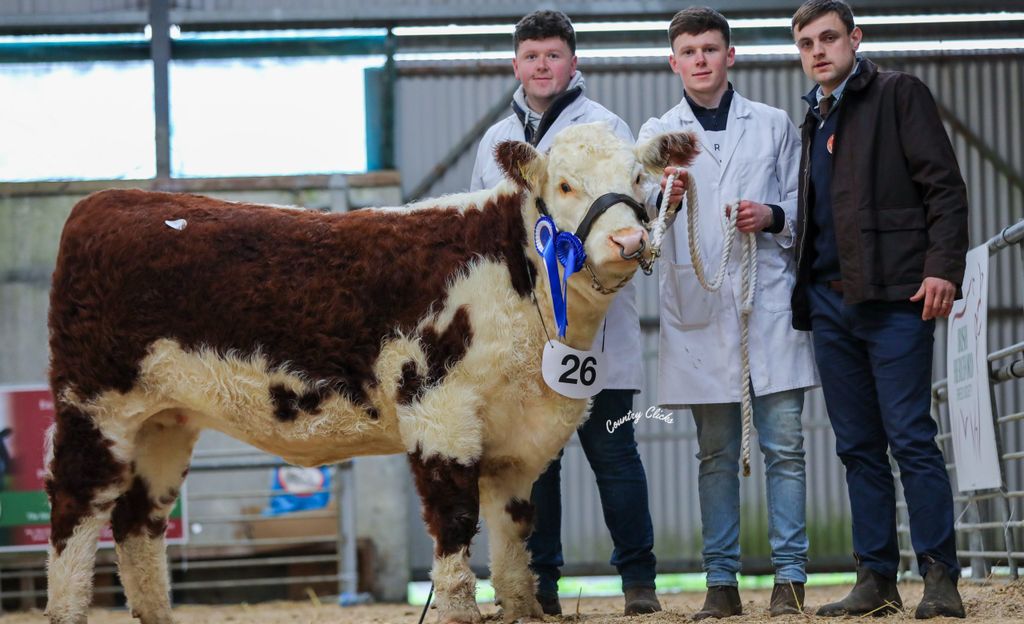 Cave Hill Dolly HH with Patrick and Liam Farrell and Judge, Mr. Jack Wilson