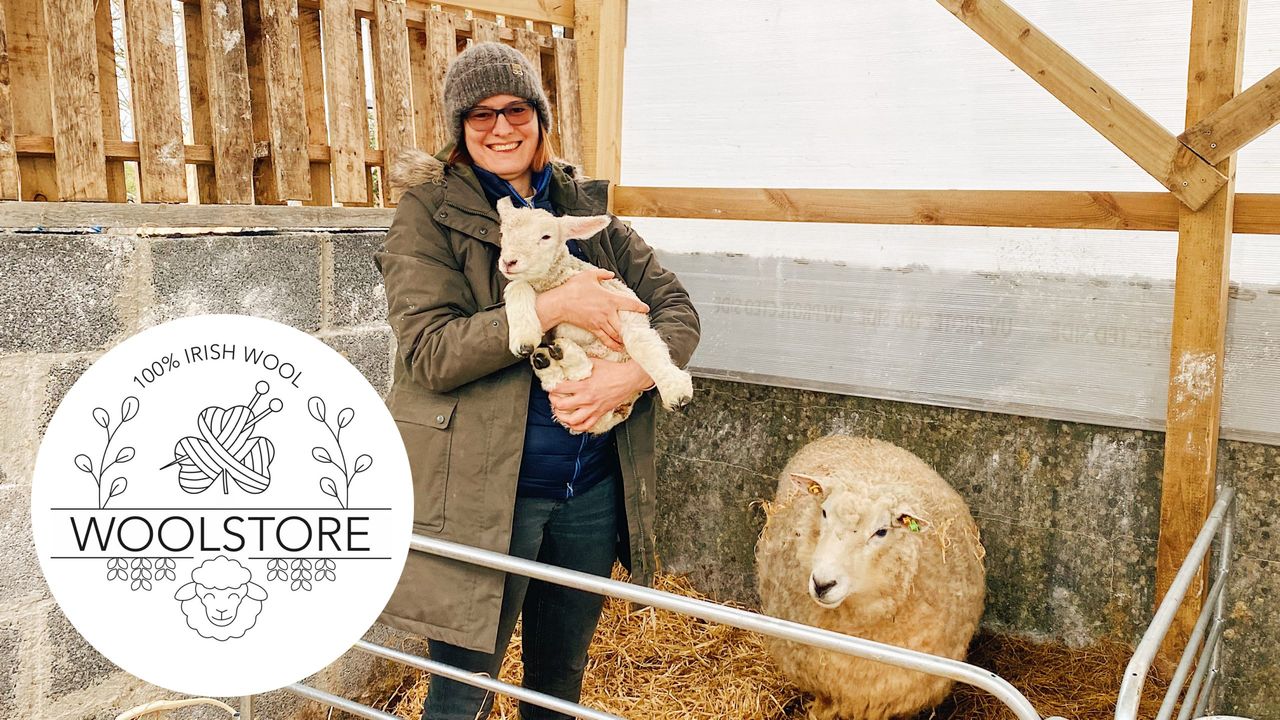 Galway wool business turns to crowdfunding to finance mini mill