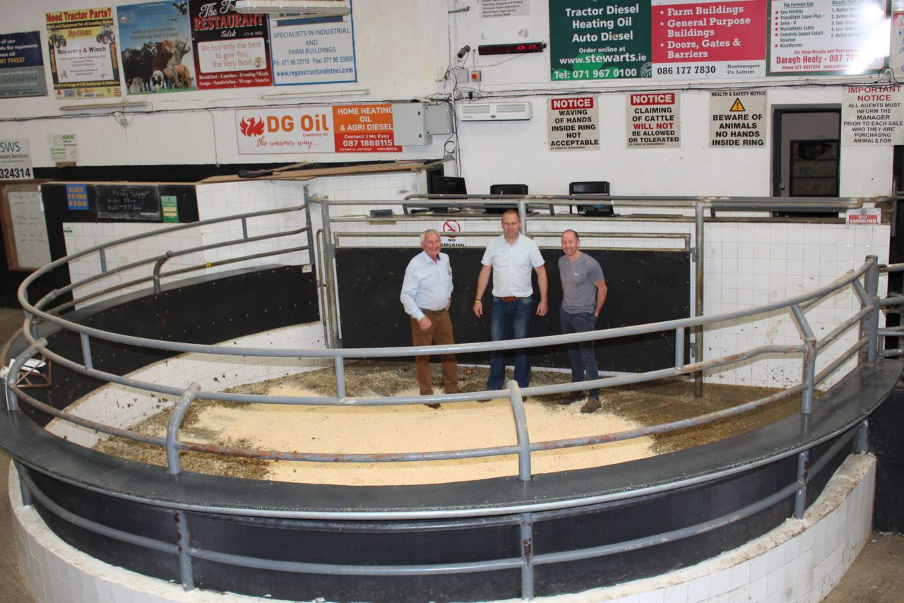 New assistant manager appointed at Elphin Mart