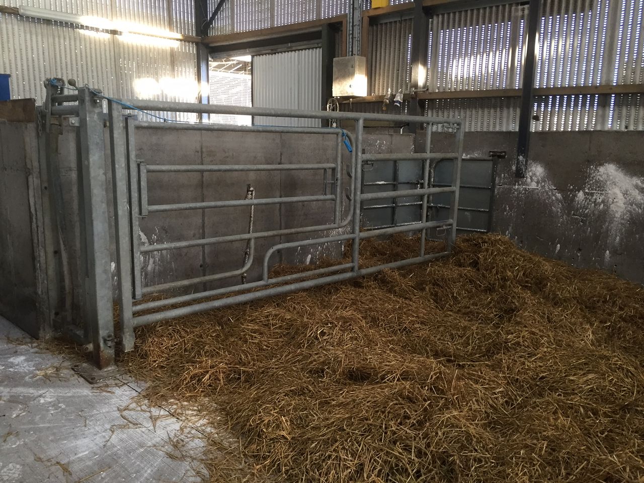 Autumn calving: Preparing for the arrival of calves