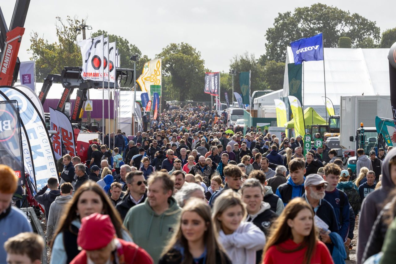 85,000 attend on day 2 of Ploughing 2025